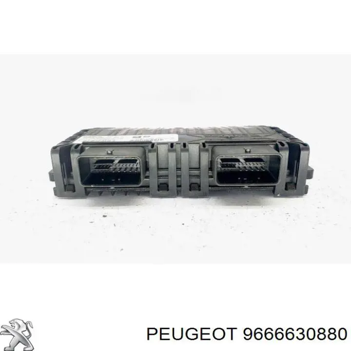 9666630880 Peugeot/Citroen 