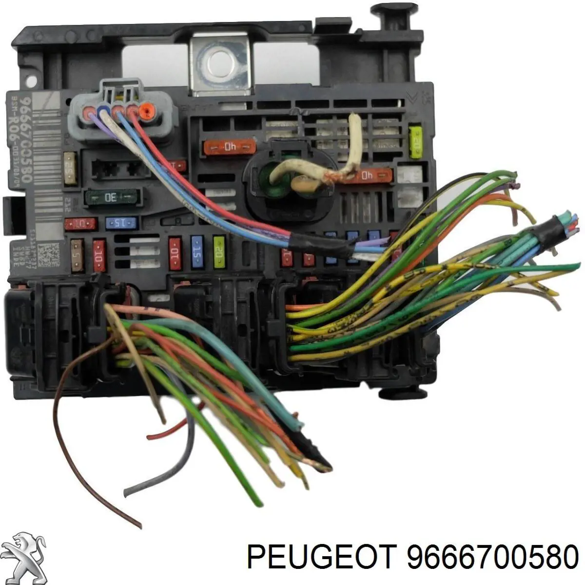 9666700580 Peugeot/Citroen 