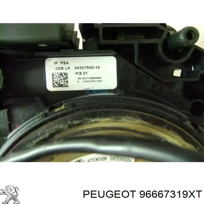  96667319XT Peugeot/Citroen