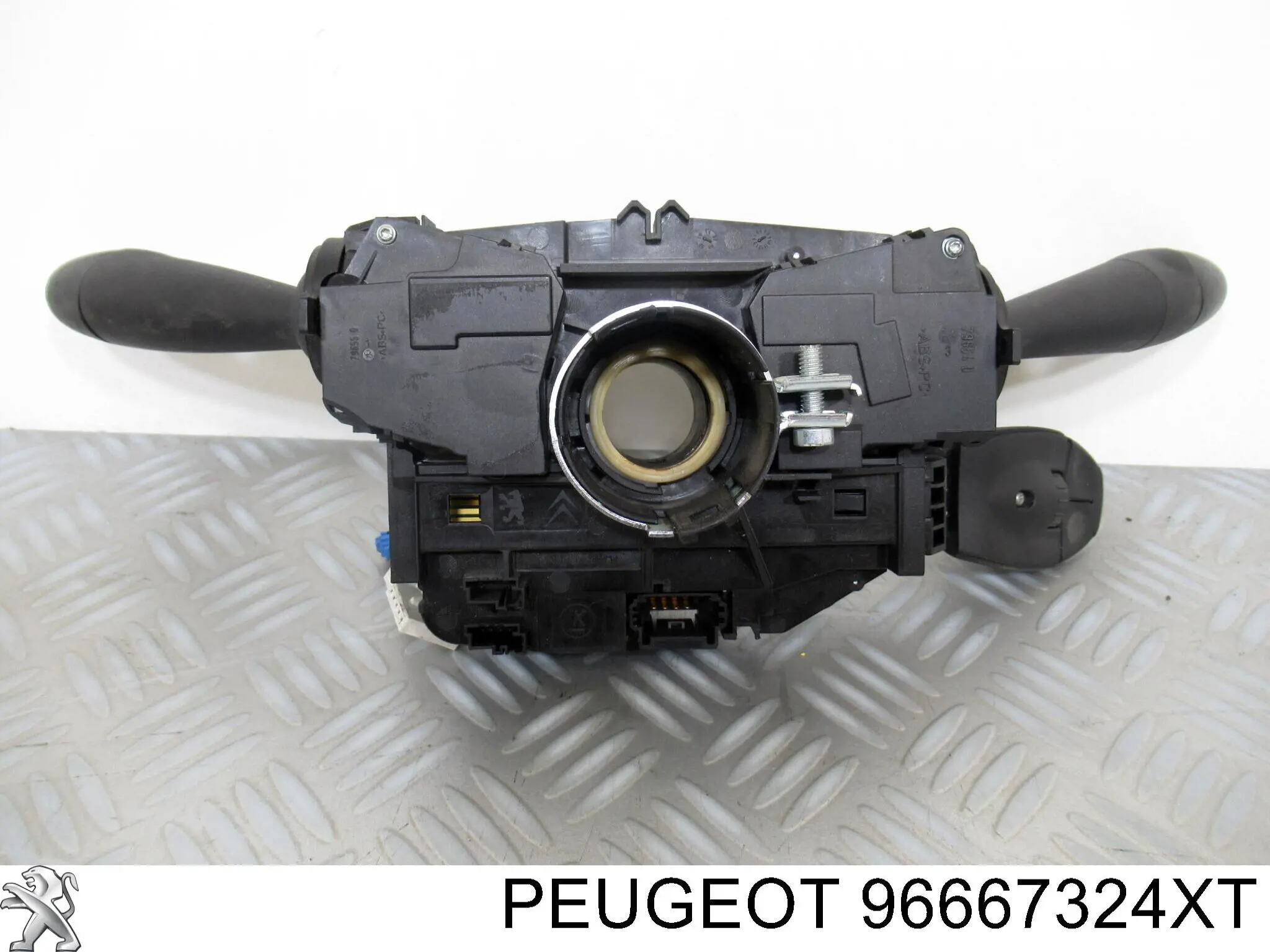  96667324XT Peugeot/Citroen