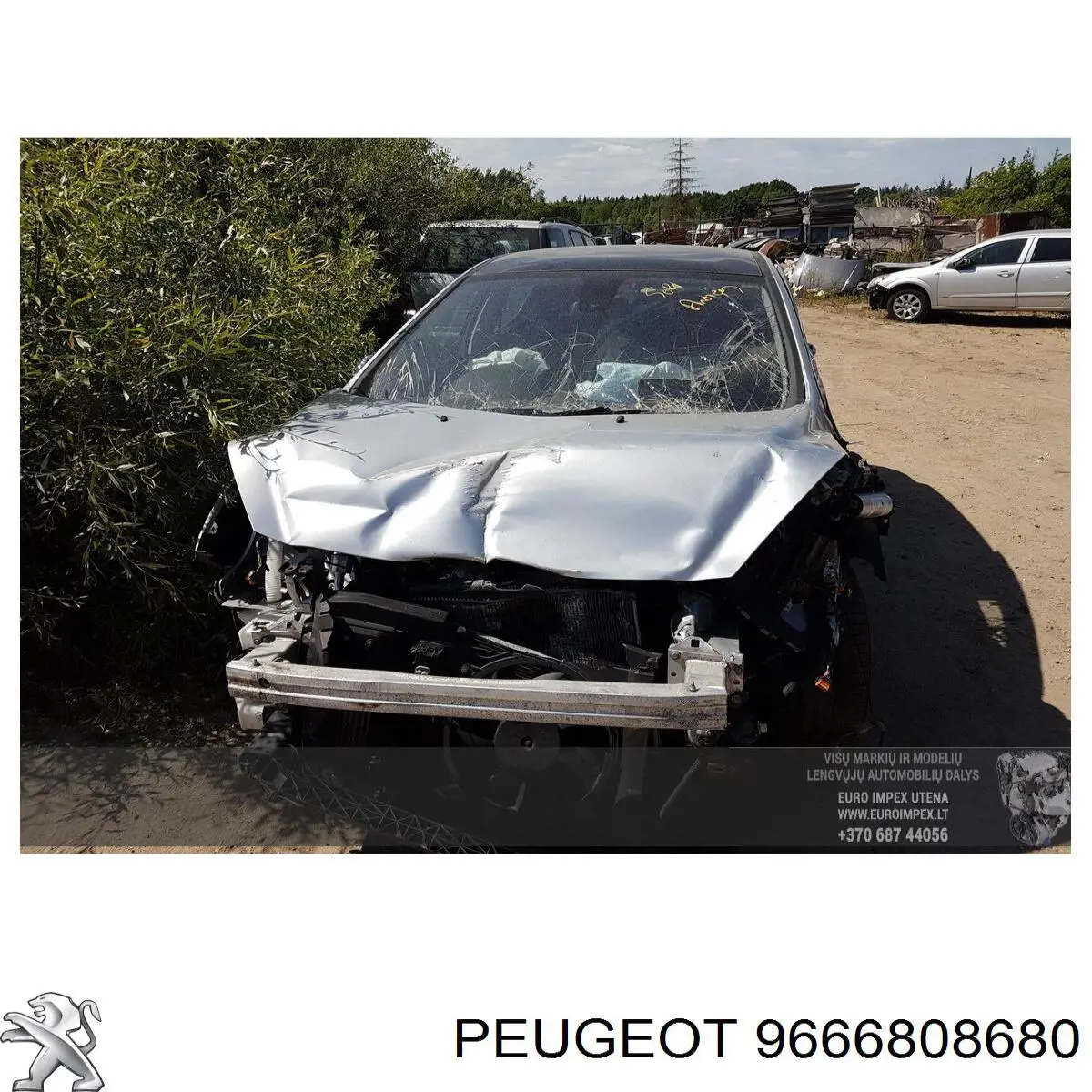  Peugeot/Citroen 9666808680 цена, от 9.90 USD