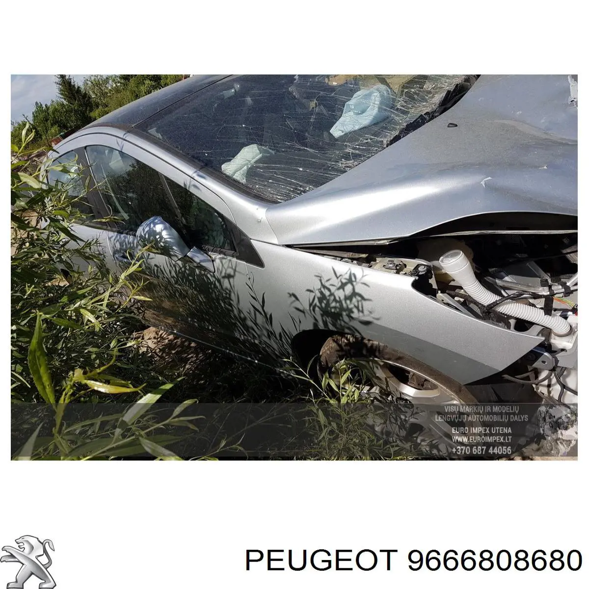 Купить 9666808680 Peugeot/Citroen 