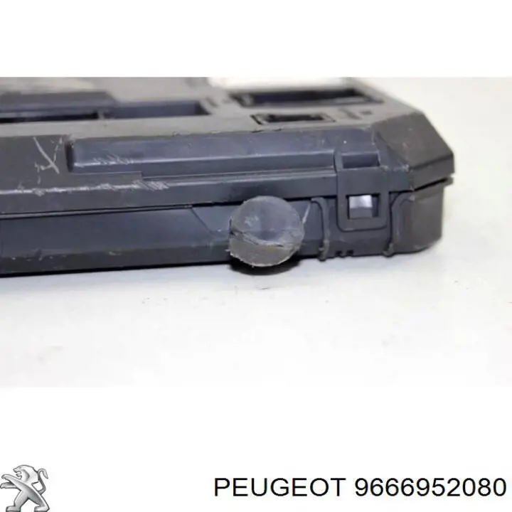 Купить 9666952080 Peugeot/Citroen 