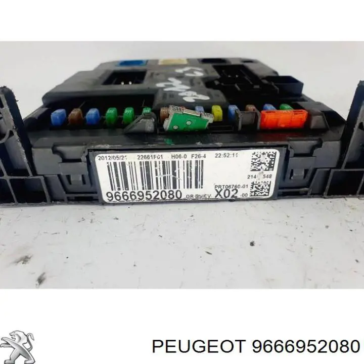  9666952080 Peugeot/Citroen