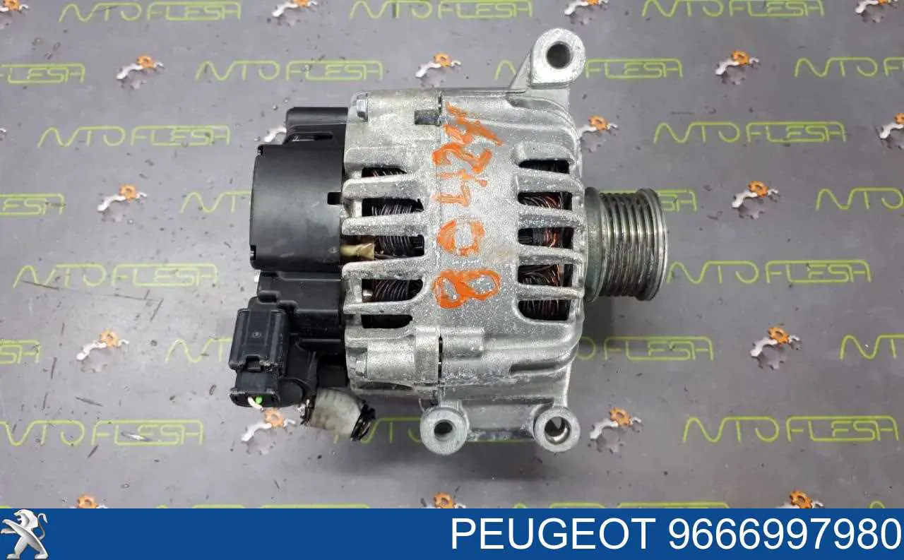 9666997980 Peugeot/Citroen генератор