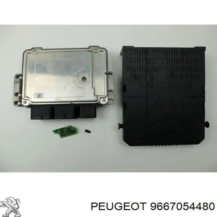9667054480 Peugeot/Citroen 