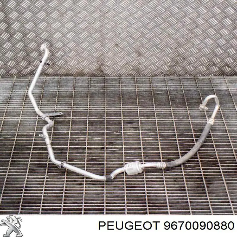 9670090880 Peugeot/Citroen 