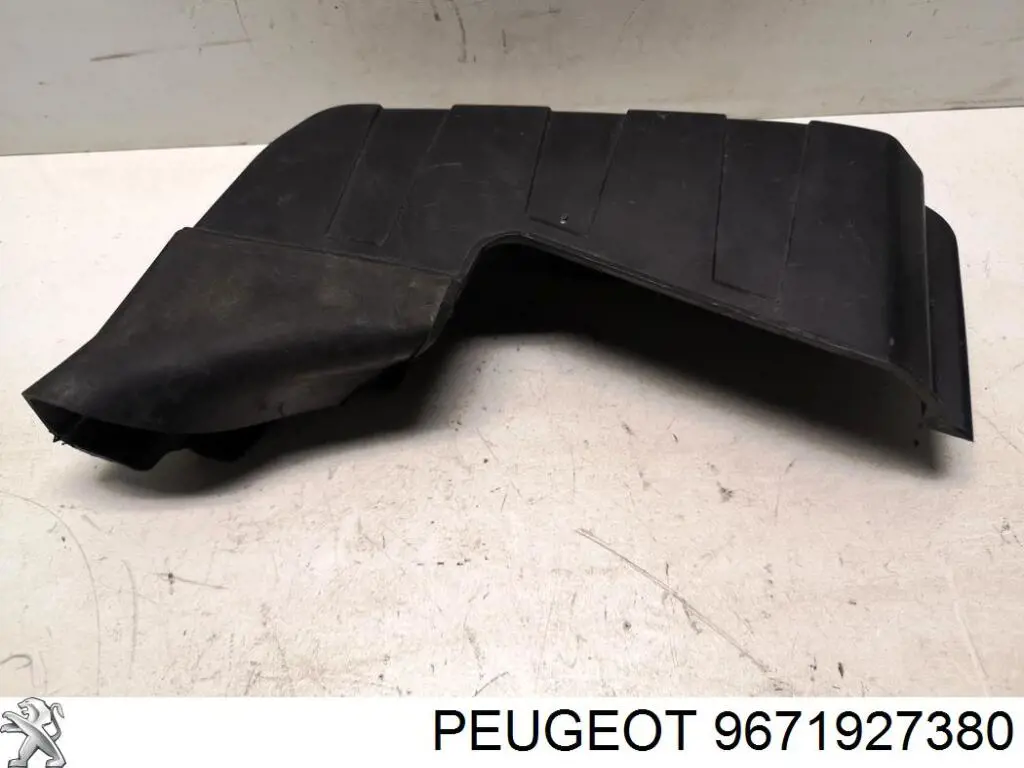 Крышка корпуса ЭБУ мотора на Peugeot 207 SW 