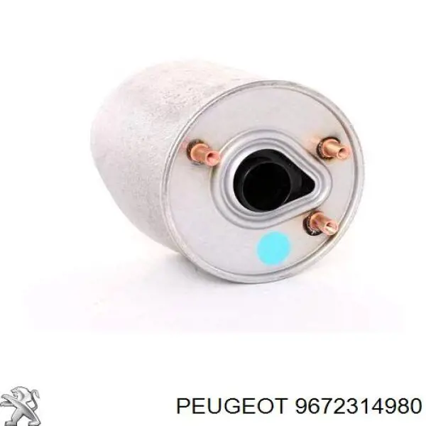 Compre 9672314980 Peugeot/Citroen Caixa de filtro de combustível