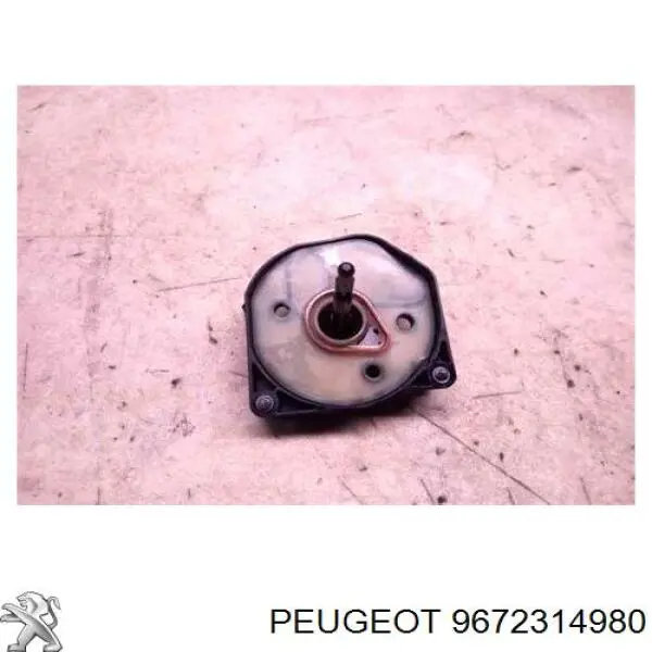 9672314980 Peugeot/Citroen Caixa de filtro de combustível