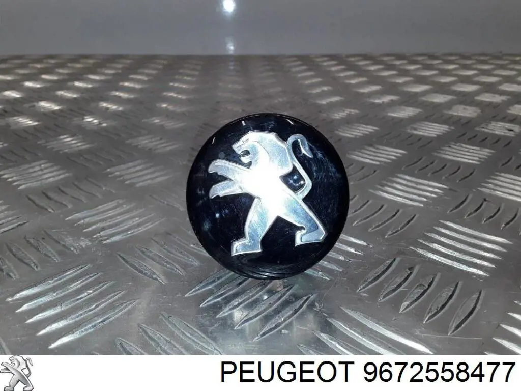  9672558477 Peugeot/Citroen