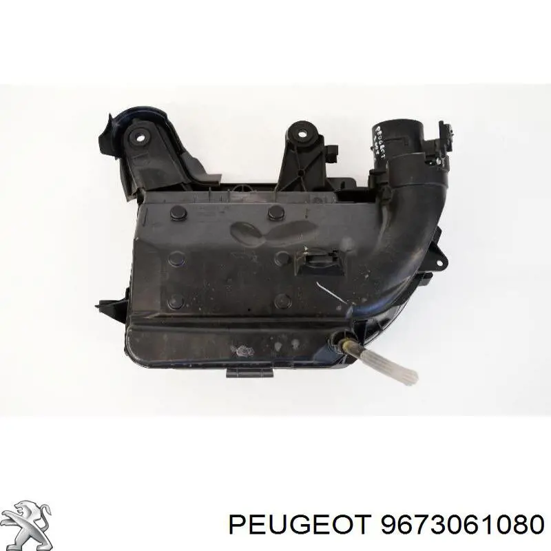 00001420V1 Peugeot/Citroen caixa de filtro de ar