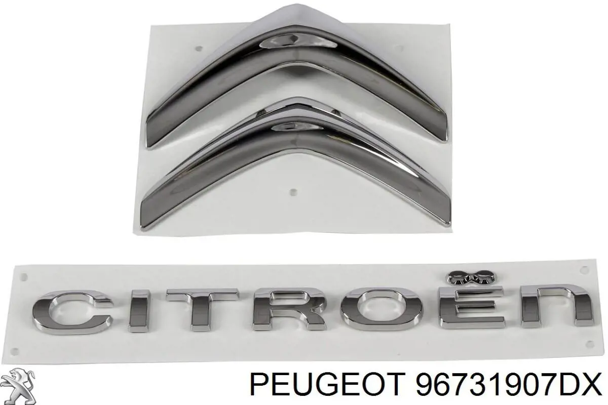96731907DX Peugeot/Citroen 