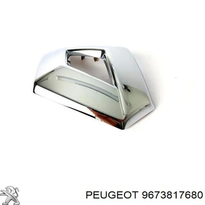 Купить 9673817680 Peugeot/Citroen 