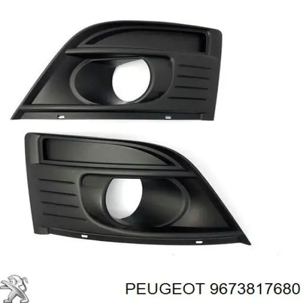9673817680 Peugeot/Citroen 