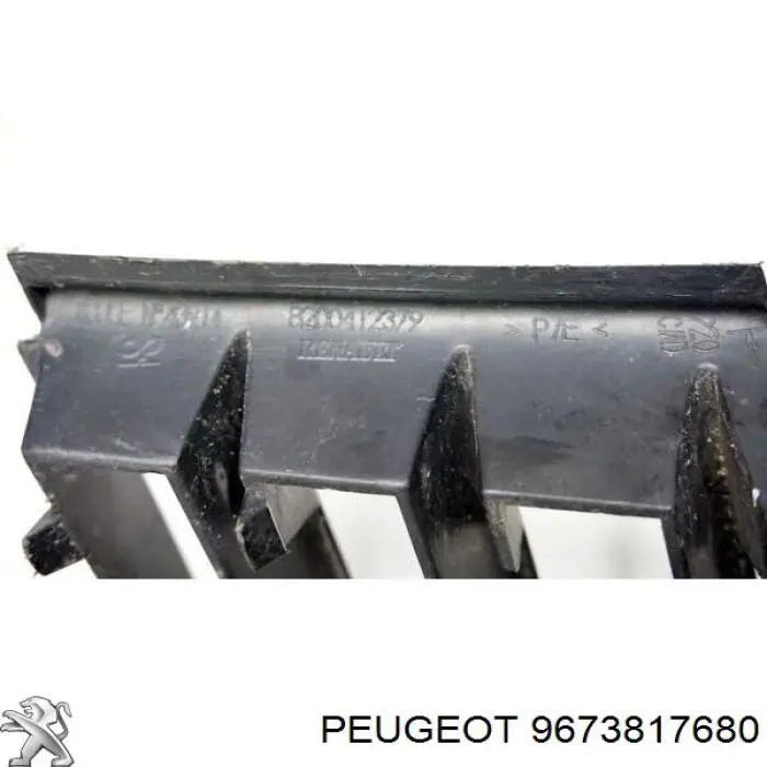  9673817680 Peugeot/Citroen