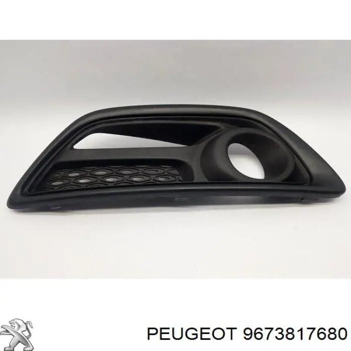  Peugeot/Citroen 9673817680