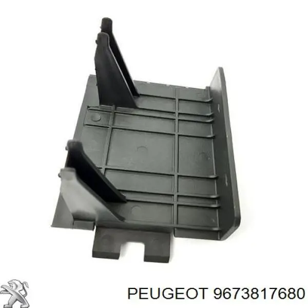 9673817680 Peugeot/Citroen 