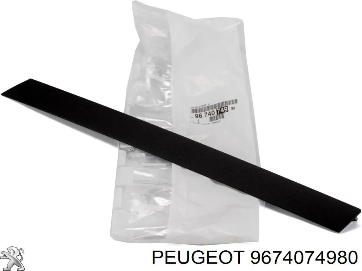  9674074980 Peugeot/Citroen