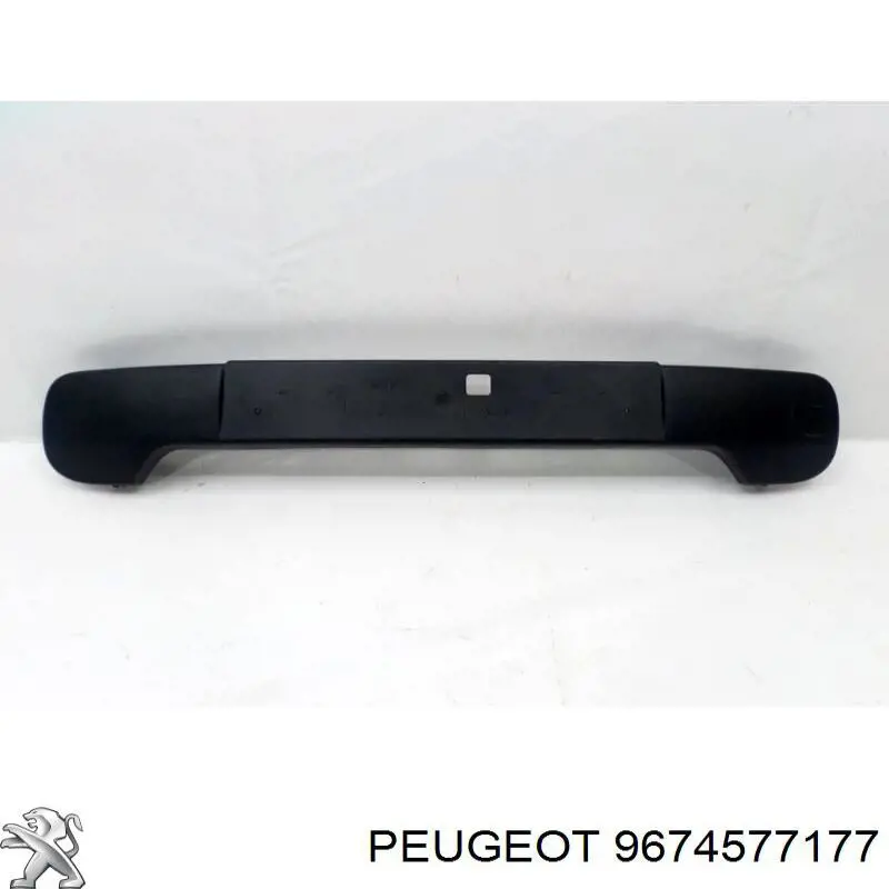 9674577177 Peugeot/Citroen 