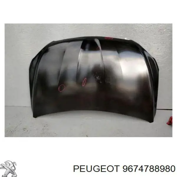 Купить 9674788980 Peugeot/Citroen Капот