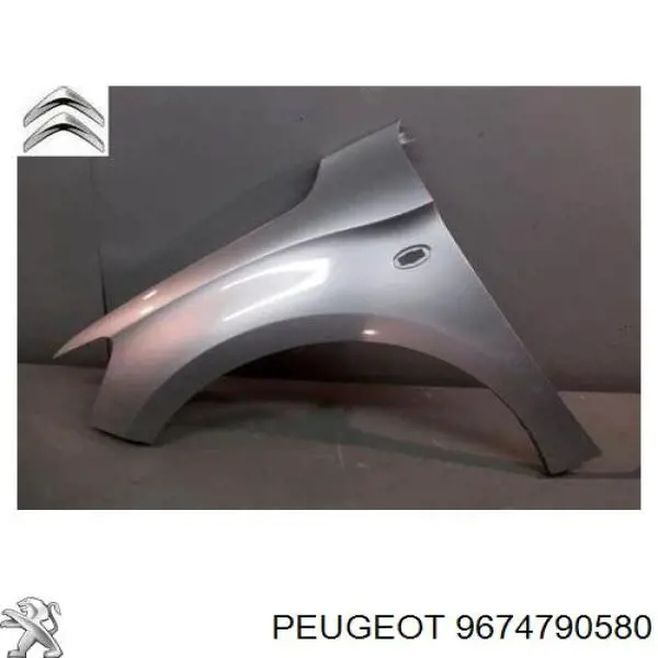 9674790580 Peugeot/Citroen pára-lama dianteiro esquerdo