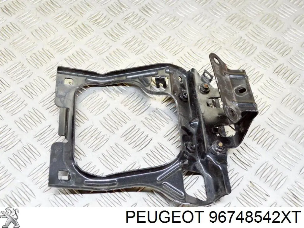 Защитная накладка переднего стекла нижняя Peugeot/Citroen 96748542XT цена, от 37.30 USD