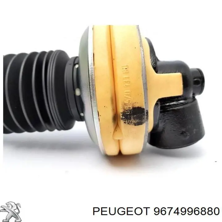 9674996880 Peugeot/Citroen 