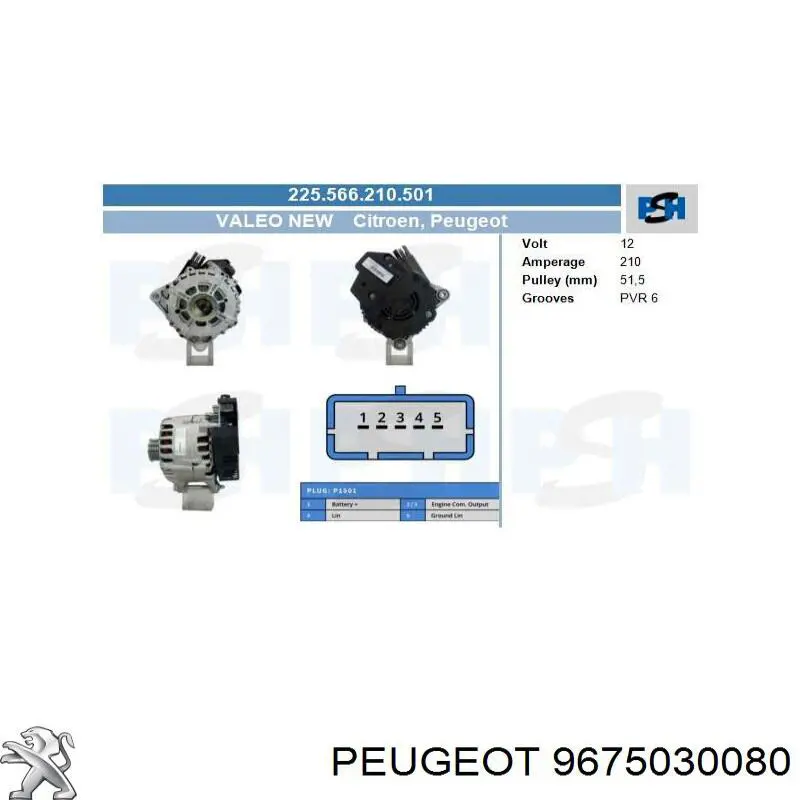9675030080 Peugeot/Citroen Генератор автомобильный