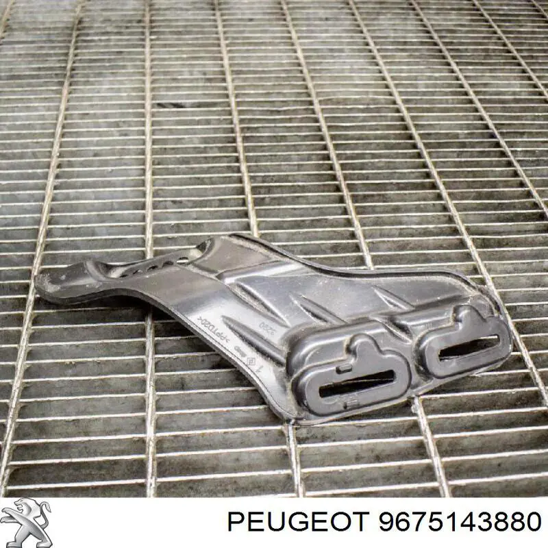  9675143880 Peugeot/Citroen