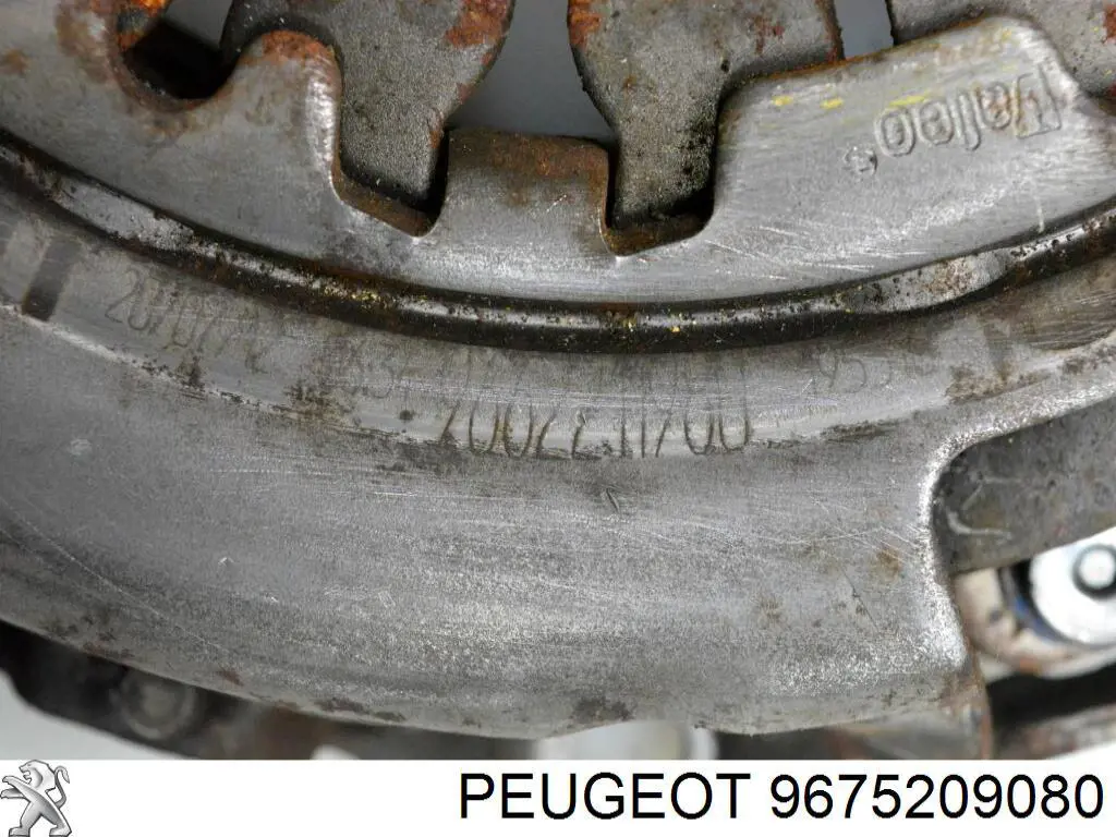 9675209080 Peugeot/Citroen 