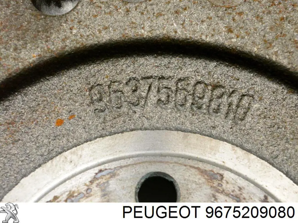 Купить 9675209080 Peugeot/Citroen 