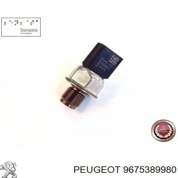 9675389980 Peugeot/Citroen distribuidor de combustível (rampa)