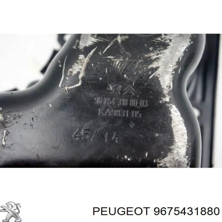 9675431880 Peugeot/Citroen