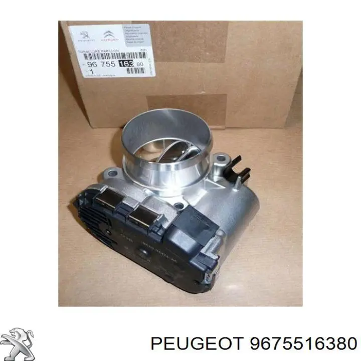9675516380 Peugeot/Citroen válvula de borboleta montada