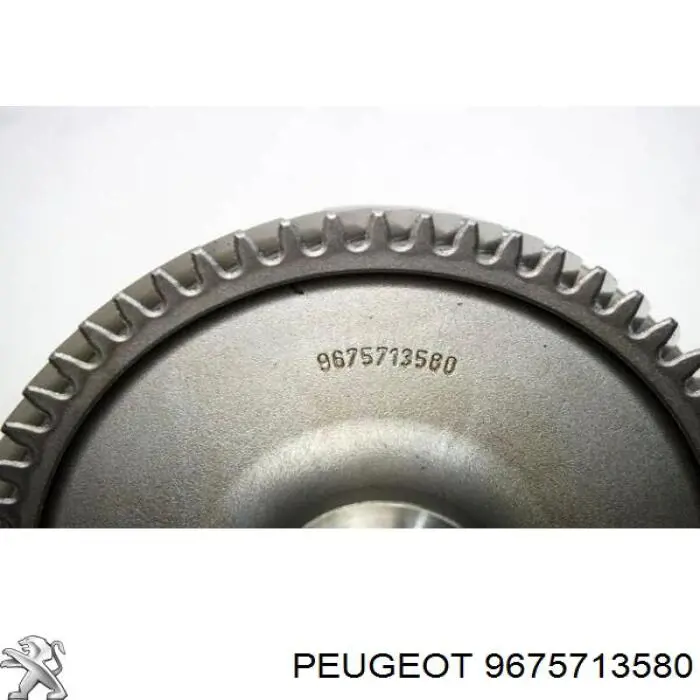9675713580 Peugeot/Citroen 