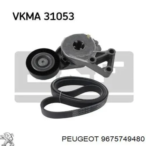 Купить 9675749480 Peugeot/Citroen Ремень генератора