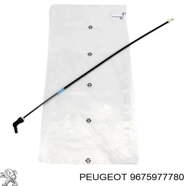 9840865680 Peugeot/Citroen 