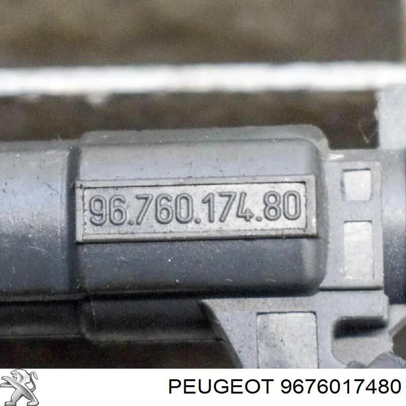 9676017480 Peugeot/Citroen injetor de injeção de combustível
