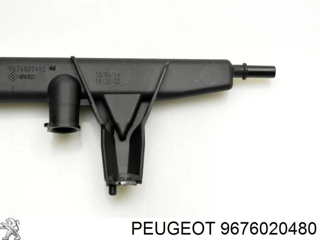 9676020480 Peugeot/Citroen distribuidor de combustível (rampa)