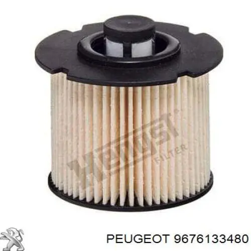 9676133480 Peugeot/Citroen caixa de filtro de combustível