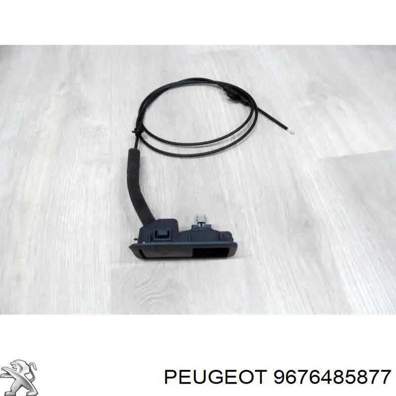 9676485877 Peugeot/Citroen 