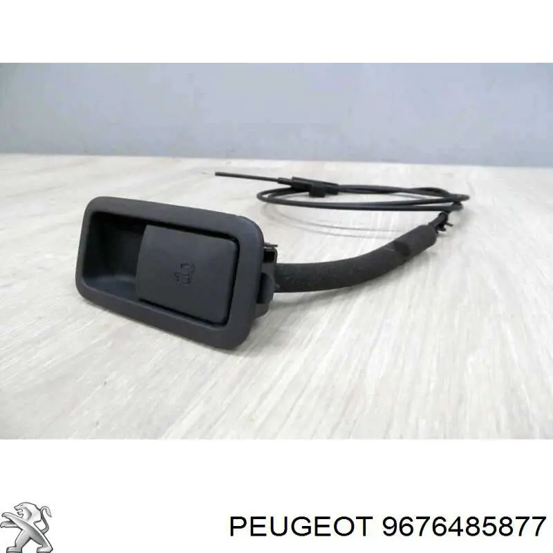 Купить 9676485877 Peugeot/Citroen 