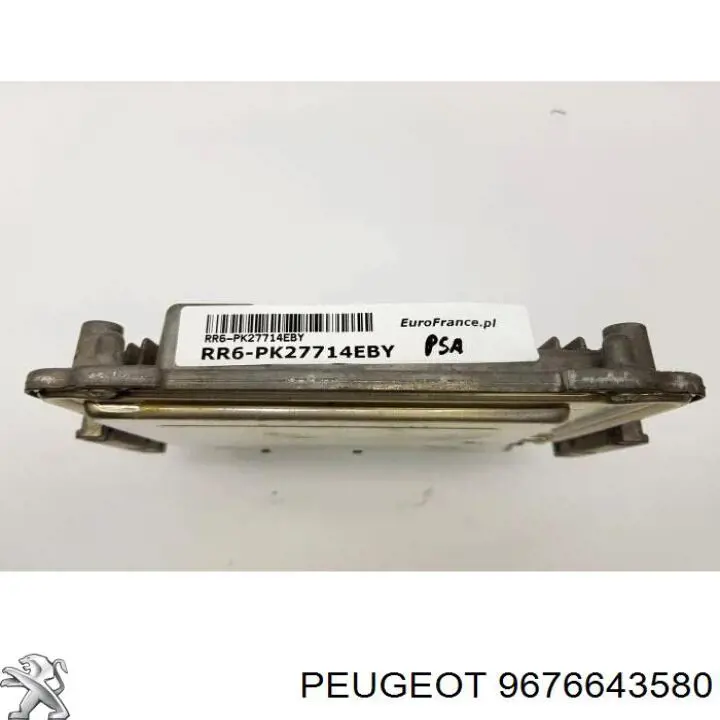 9676643580 Peugeot/Citroen 