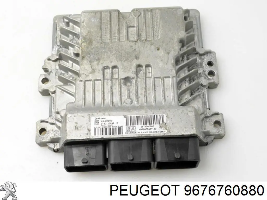 9676760880 Peugeot/Citroen 