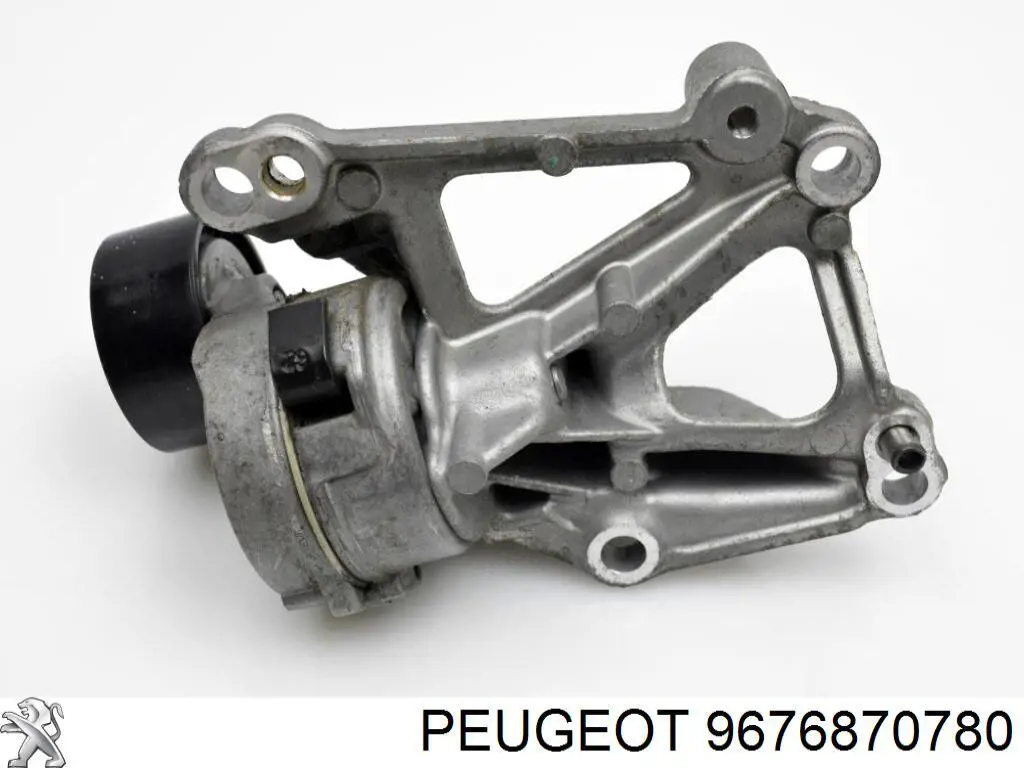 Купить 9676870780 Peugeot/Citroen 