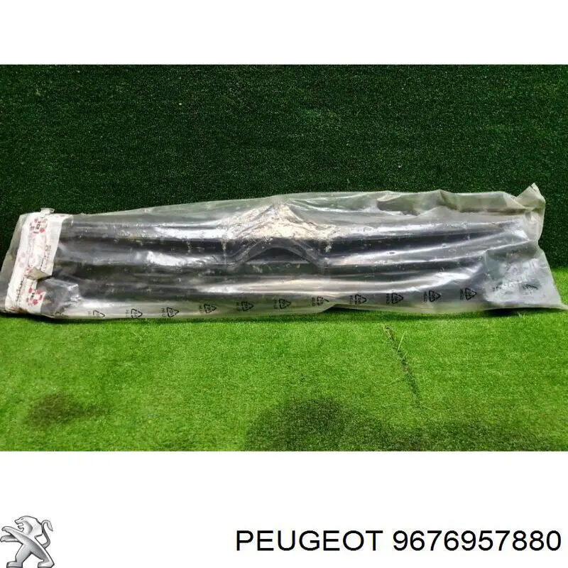 Решетка радиатора на Citroen C-Elysee  