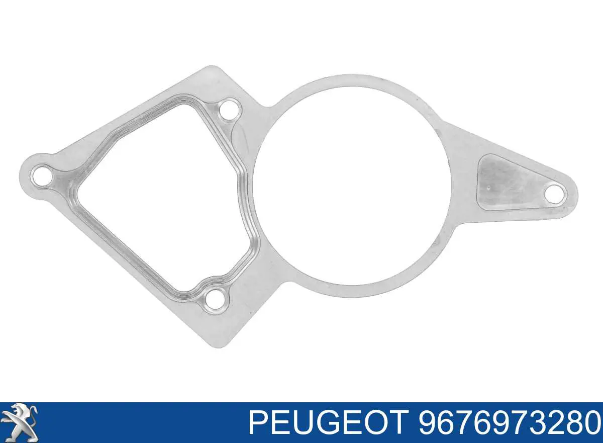 Прокладка вакуумного насоса Peugeot/Citroen 9676973280