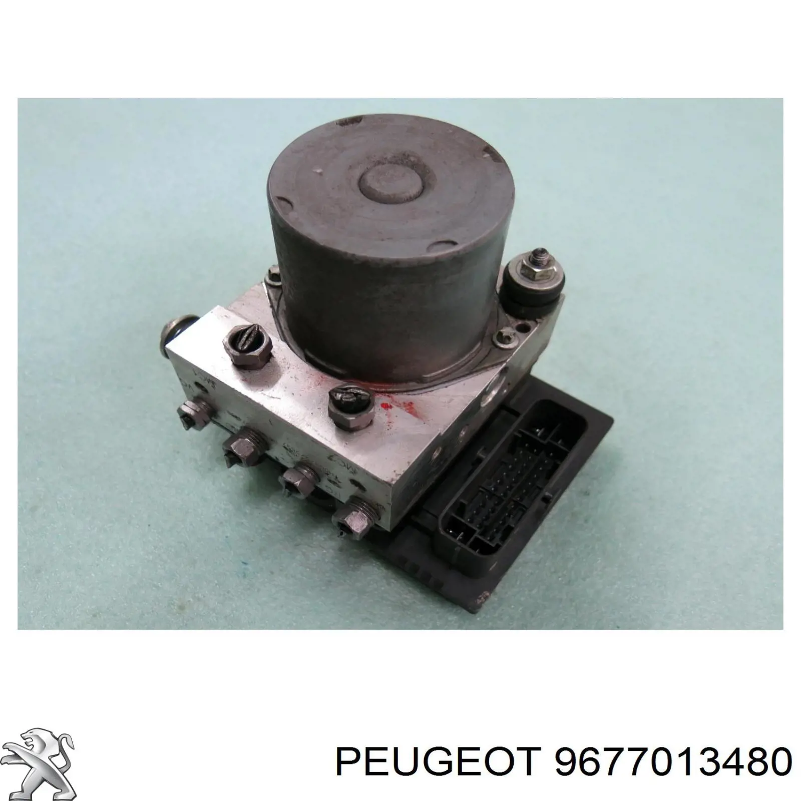 9677013480 Peugeot/Citroen 