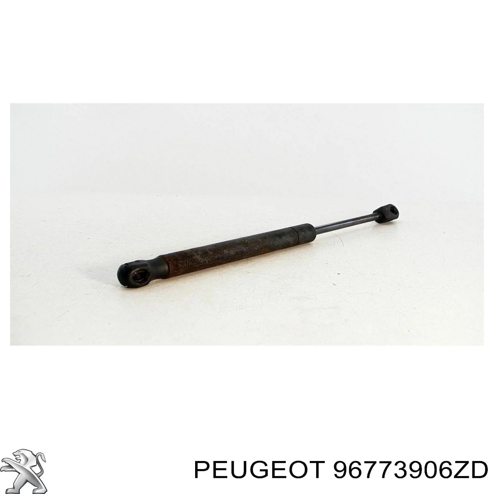 96773906ZD Peugeot/Citroen 